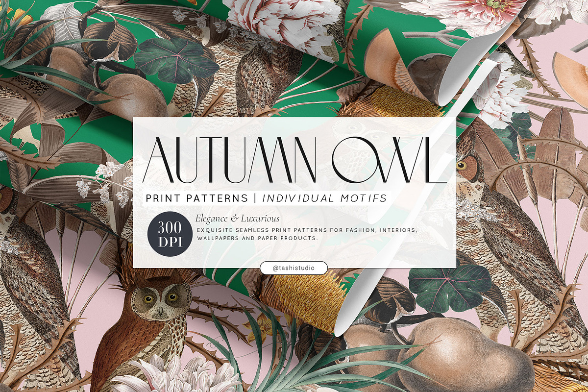 Autumn Owl Botanical Pattern & Motif, a Pattern Graphic by Pink Linen (Photo 1 of 12)