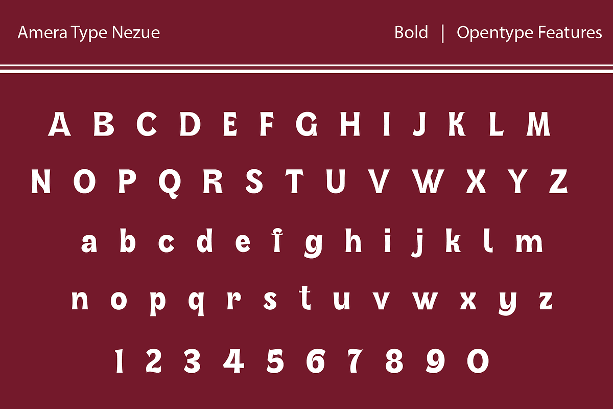 Nezue, a Font by Amera Type (Photo 9 of 10)