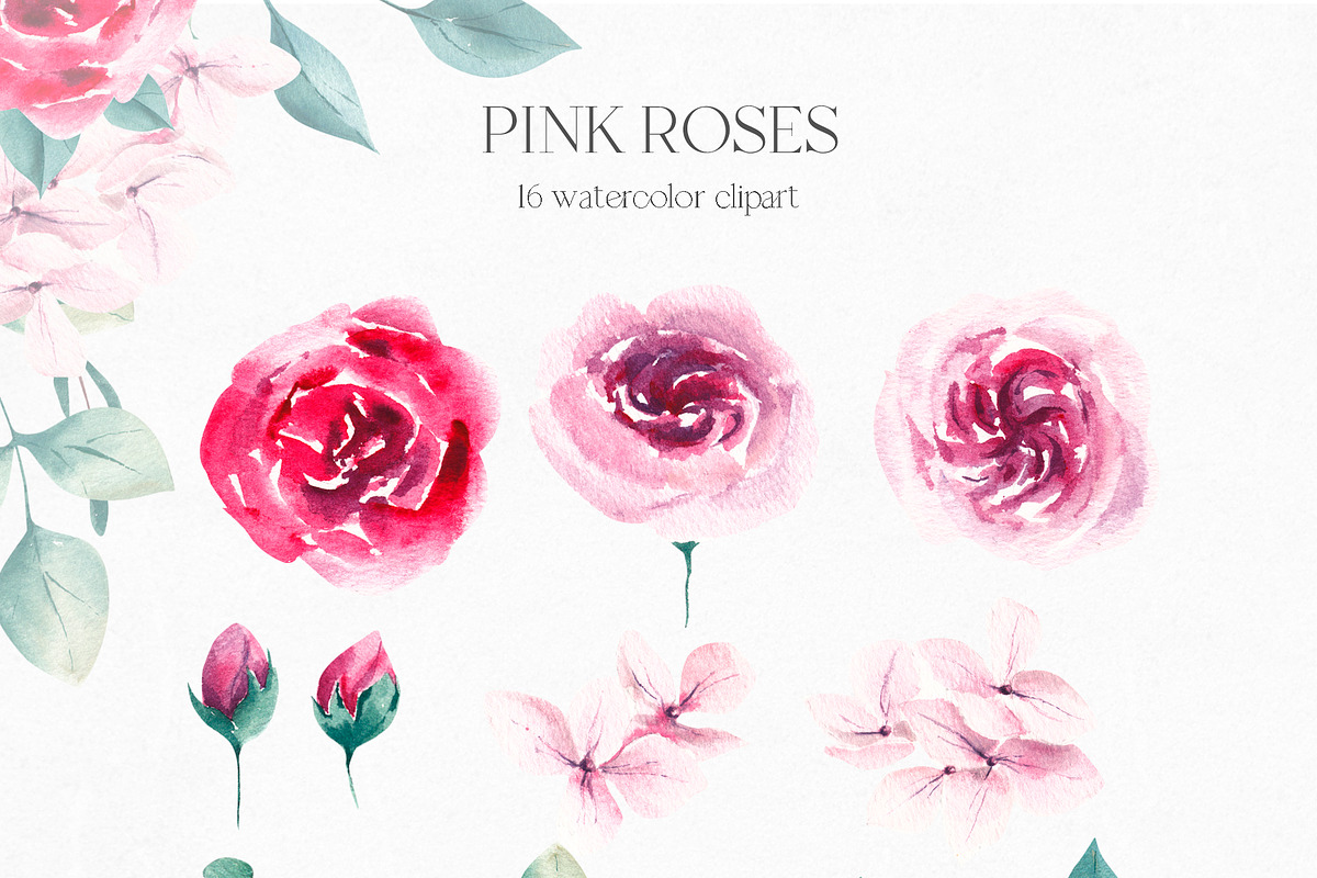 Watercolor Pink Roses Collection, an Illustration by YuliyaArtGarden (Photo 2 of 10)