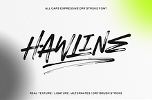 Hawline Inked – Expressive Font