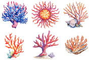 Coral Reef Clipart Bundle, an Illustration by Pixels.Craft (Thumbnail 7 of 8)
