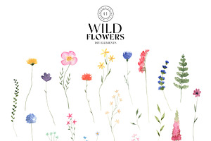 Watercolor Wild Flowers Clipart