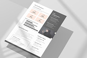 Capability Statement Template, a Stationery Template by Niofix (Thumbnail 3 of 6)