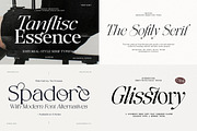The Andalucia Serif, a Serif Font by Pista Mova (Thumbnail 26 of 26)