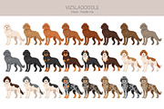 Vizsladoodle (Vizsla Poodle mix), an Animal Illustration by pet design shop (Thumbnail 2 of 6)