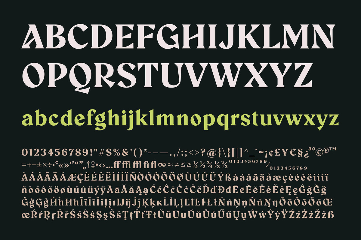 Aeda Rift, a Serif Font by ZP Fonts™ (Photo 5 of 12)