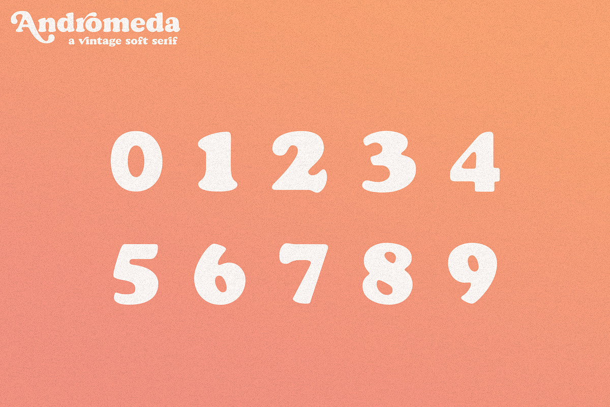 Andromeda // A Vintage Soft Serif preview 8