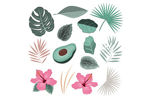 Vector Set With Wild Tropical