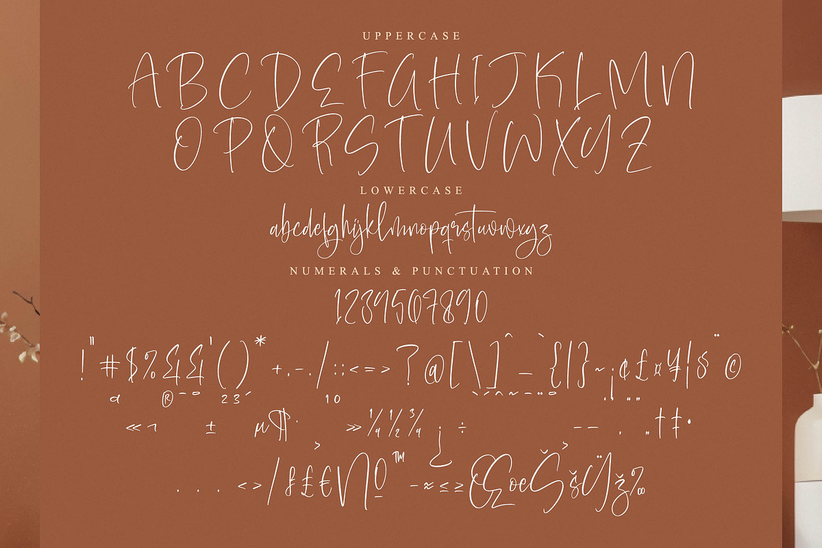 Austellas Caffetary, a Handwritten Font by operatype.co (Photo 12 of 14)