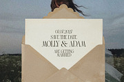 Grand Palais - Elegant Logo Font, a Serif Font by AndrewPixelType (Thumbnail 7 of 9)