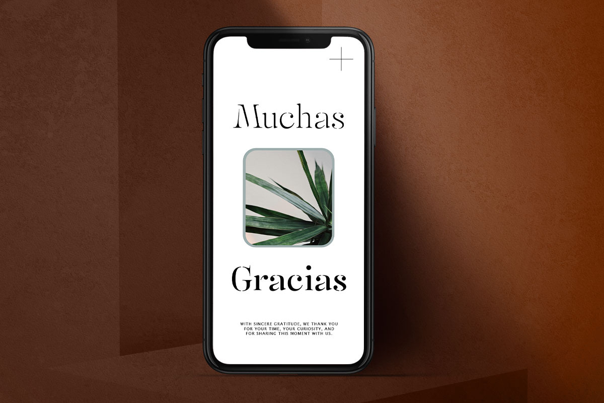 Mulich Serif Display | 18 Fonts, a Serif Font by Skinny Type (Photo 15 of 15)