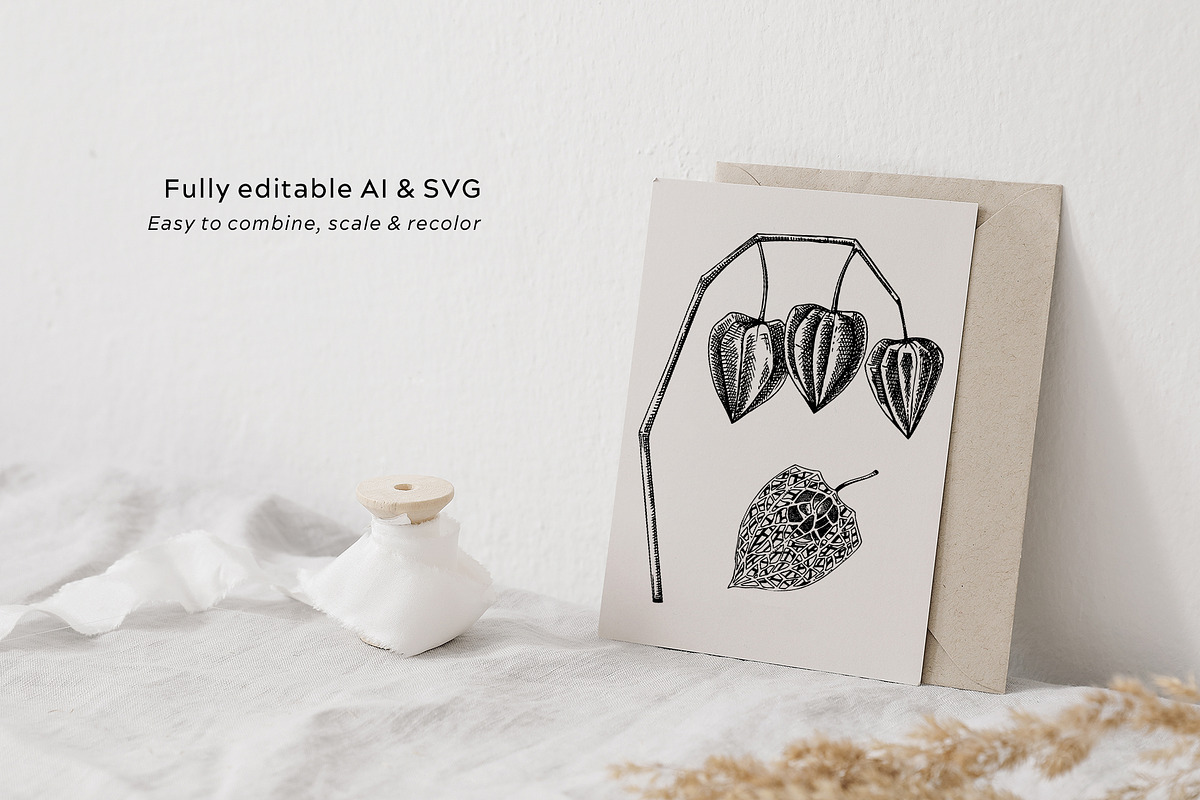 Autumn Leaves and Flowers Vector Set, an Object Graphic by Yevheniia (Photo 9 of 11)