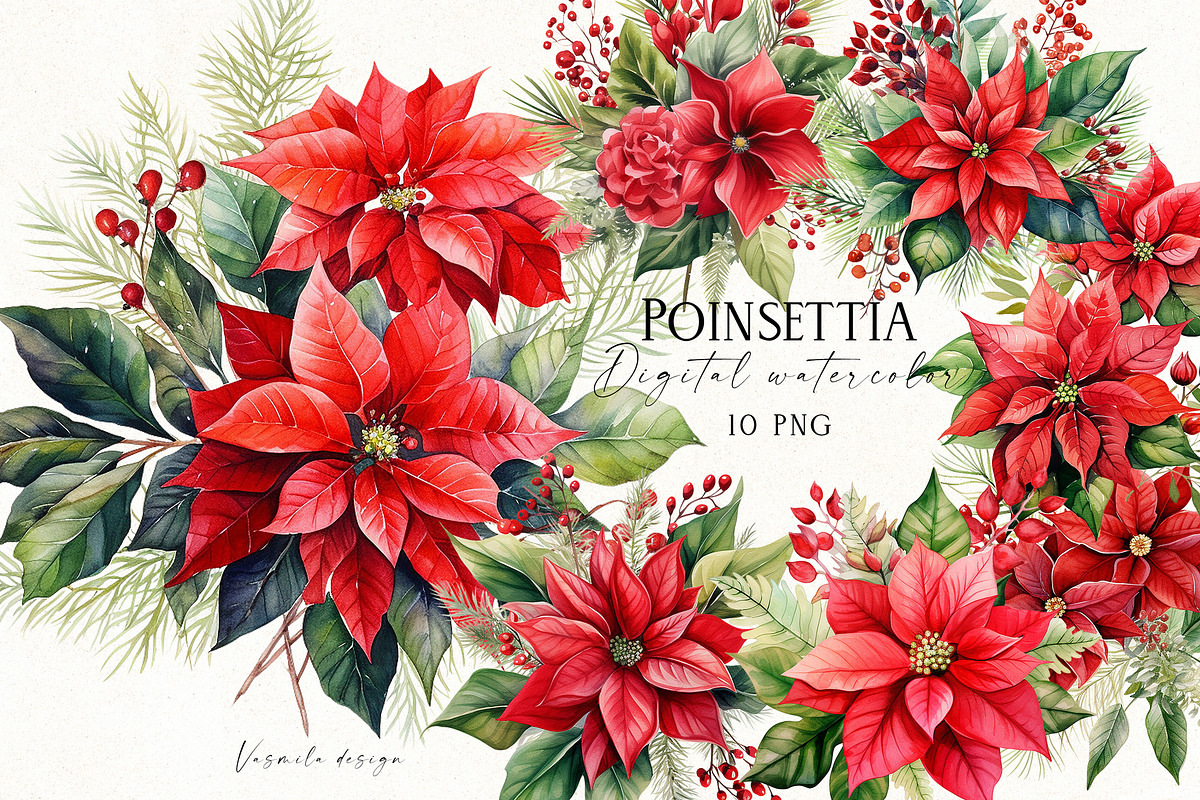 Christmas Poinsettia Bouquets, a Decorative Illustration by Vasmila (Photo 1 of 6)