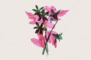 Risograph Double Exposure Effect, a Layer Style Add-On by pixelbuddha.net (Thumbnail 9 of 9)