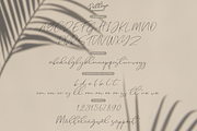 Pattaya, a Script Font by Larin Type Co. (Thumbnail 10 of 10)