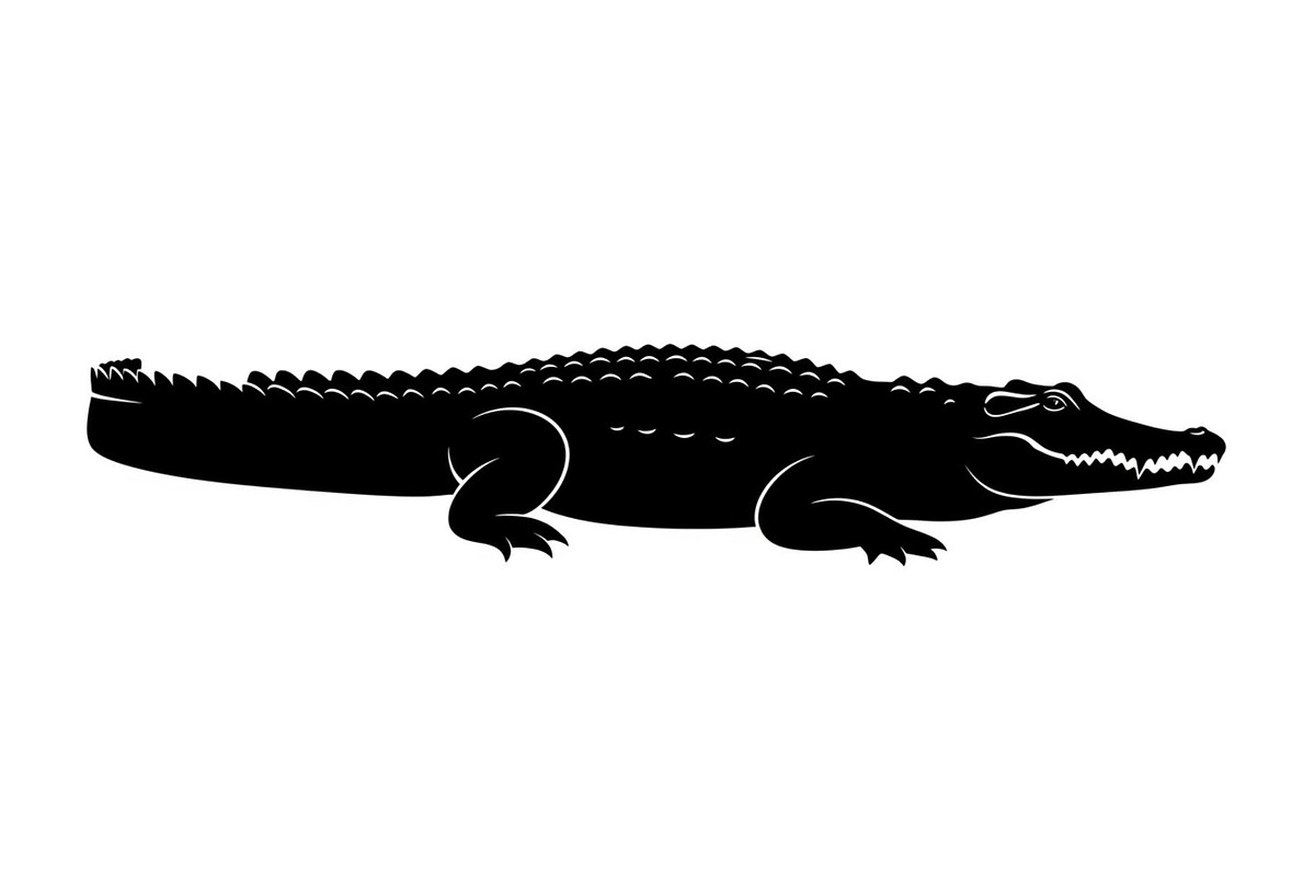 Crocodile Alligator Vector Bundle, an Illustration by jahid234 (Photo 15 of 51)