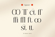Cresta Soura - Serif Family Font, a Serif Font by Flawless And Co (Thumbnail 10 of 10)