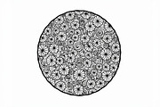 Laser Cut Floral Mandala Bundle, an Illustration by Gfx_Store (Thumbnail 6 of 9)