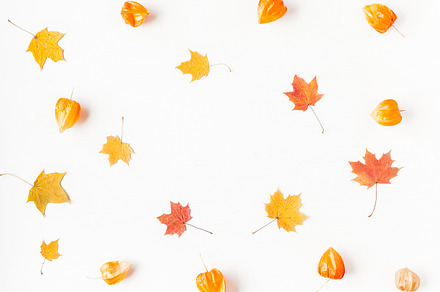 Autumn leaves featuring autumn, fall, and maple, a Nature Photo by Flaffy