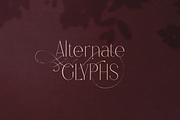Forbidden Love - Display Font, a Serif Font by VP Fonts (Thumbnail 17 of 20)