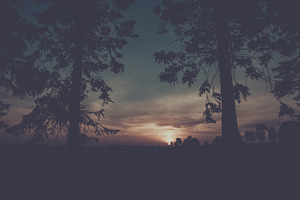 Vintage Australia Sunset
