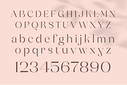 Assent Royale - Luxury Serif, a Serif Font by Annivers Type (Thumbnail 6 of 10)