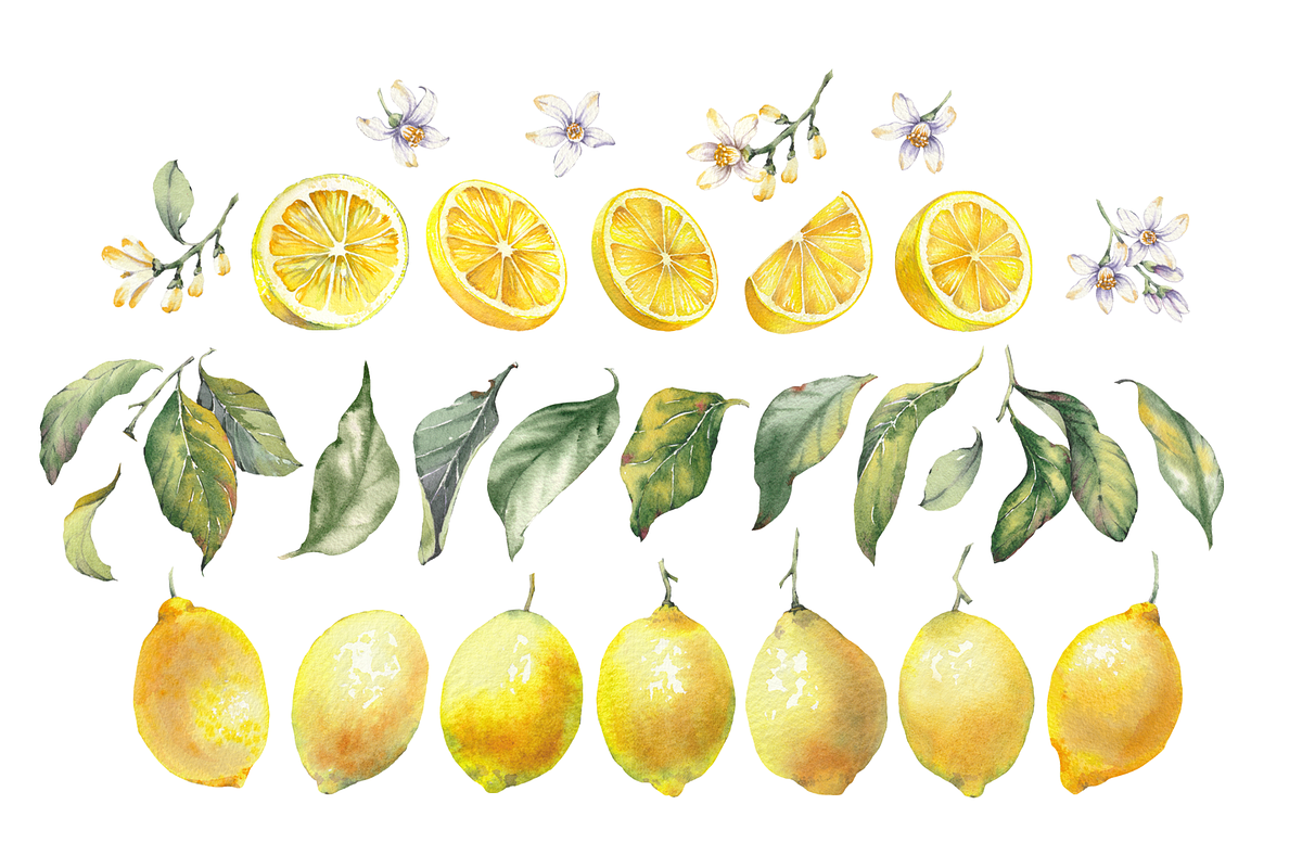 Lemon Garden Watercolor Cliparts, a Decorative Illustration by Jeanna Draw (Photo 10 of 11)