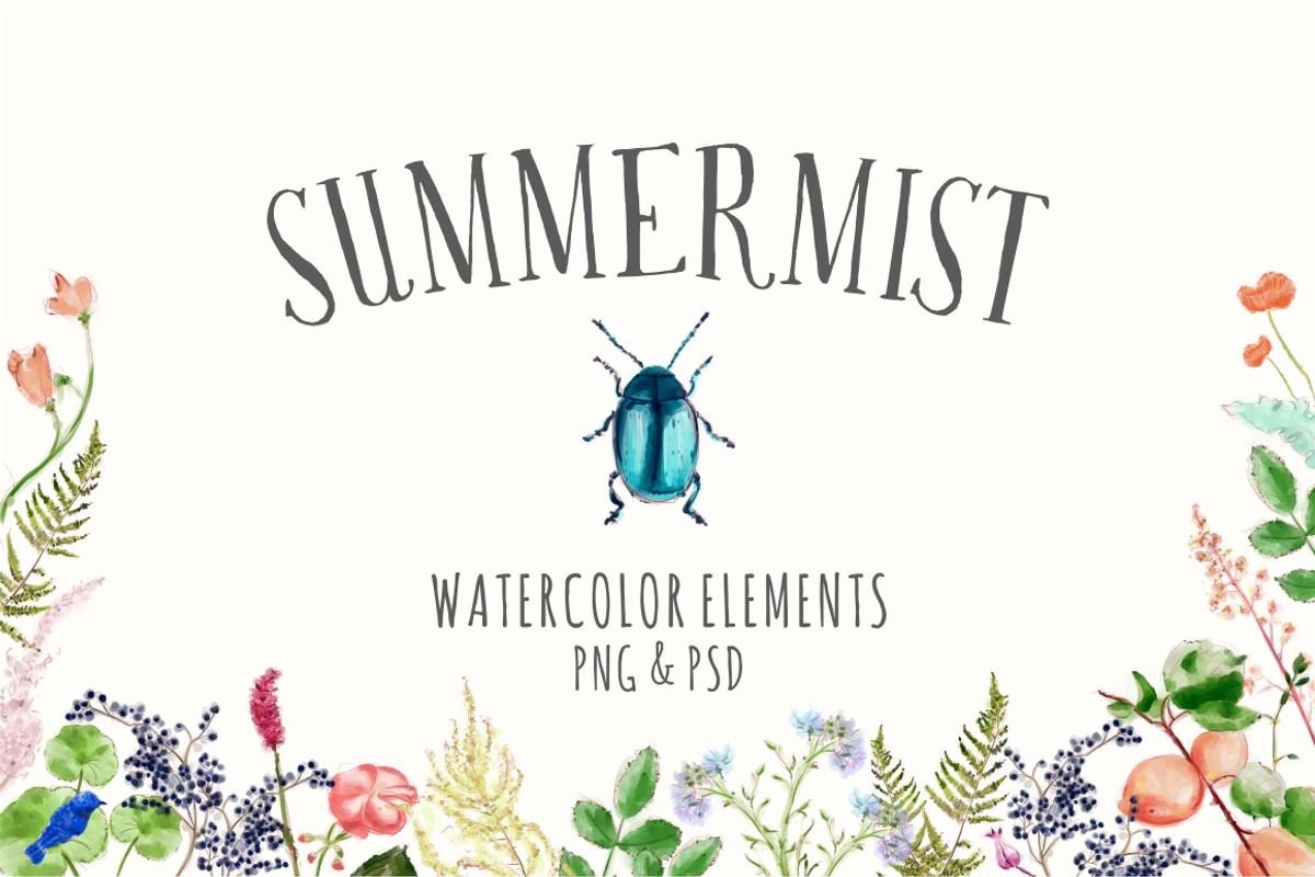 Summer Mist, a Decorative Illustration by Storyteller Imagery (Photo 1 of 8)