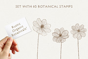 The Procreate Botanical Box, a Brush Add-On by Just Bia (Thumbnail 2 of 15)