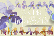 TheArtsyIrisCollection-Clipart, an Illustration by watercolorwild.graphics (Thumbnail 6 of 13)