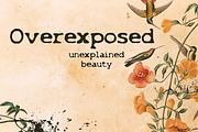 Overexposed, a Font by Cool Fonts (Thumbnail 2 of 6)