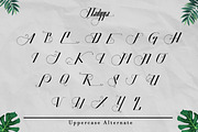 Nadyya - Traditional Display Font, a Symbol Font by Saxofont (Thumbnail 7 of 8)