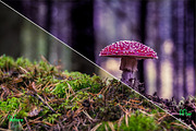 Autumn Photoshop Actions 110 Bundle, an Action Add-On by ARTNEST (Thumbnail 10 of 11)