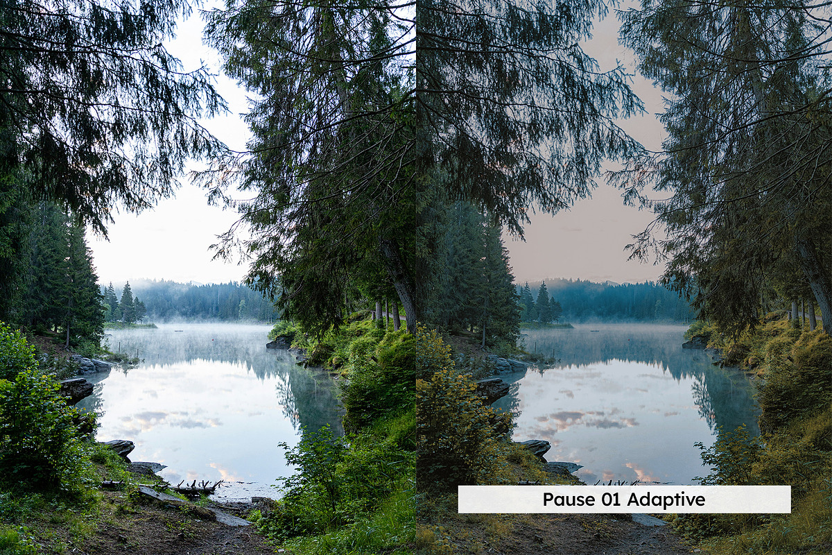 20 Vintage Nature Lightroom Presets, a Preset Add-On by SparkleStock (Photo 5 of 17)