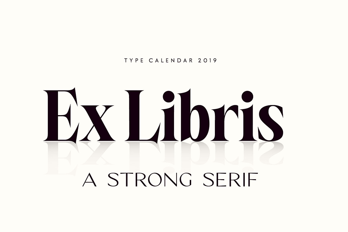 Type Calendar 2019 | Font Bundle preview 4