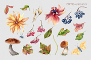 Autumn flowers watercolor clipart, an Illustration by Kate Lanbina (Thumbnail 3 of 22)