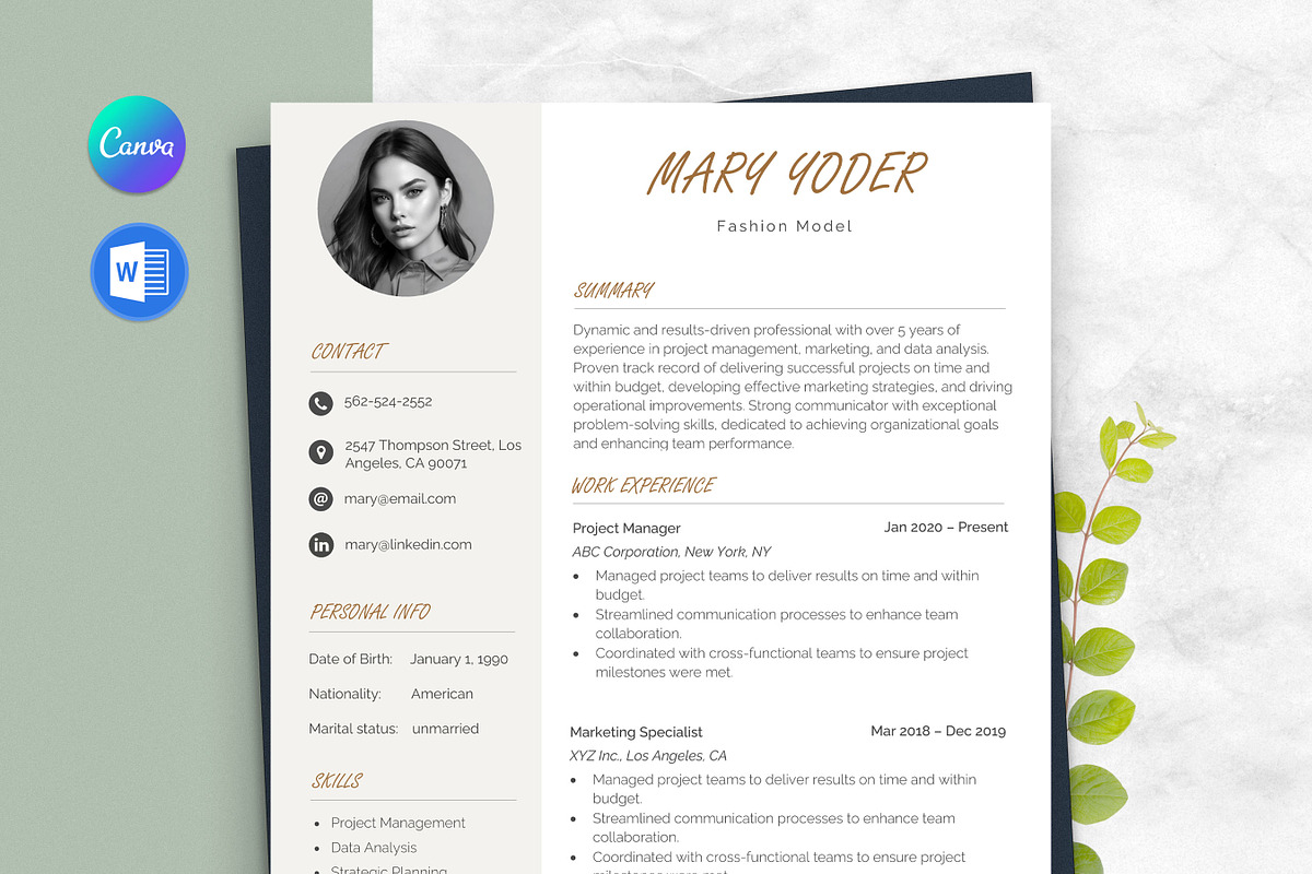 Resume / CV Template Word & Canva, a Resume Template by Anjum Ilyas (Photo 1 of 7)
