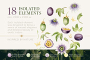 Passion Fruit Watercolor Clip Art, a Food Illustration by Elena Malgina Clipart (Thumbnail 2 of 16)