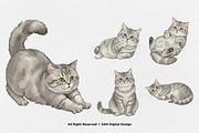 15 Bundle Watercolor Grey Cats Pet, an Animal Illustration by Morspective (Thumbnail 12 of 15)