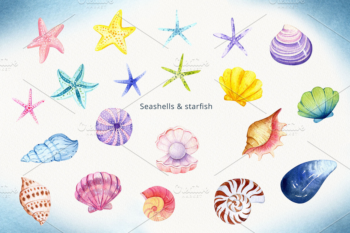 Mermaids and Under sea animals, an Animal Illustration by Watercolor Nastasia Art (Photo 4 of 19)