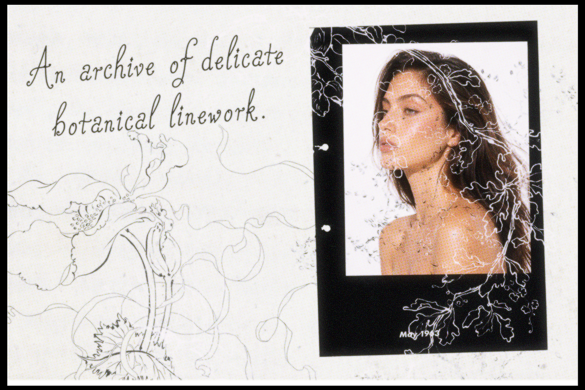 Bracquemond Flower Overlays, a Texture Graphic by Lilithcollageart (Photo 4 of 10)