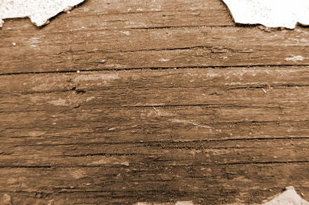 Wood texture containing wood, texture, and background preview 6