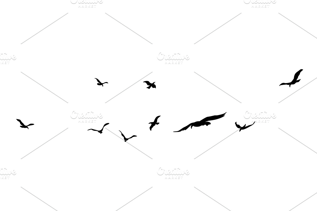 A Flock of Silhouetted Birds, an Animal Illustration by Things for designers
