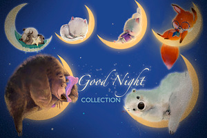 Good Night collection