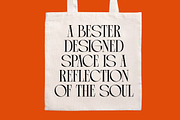 Arganica Stylish Display Serif, a Serif Font by timelesstype.co (Thumbnail 14 of 20)