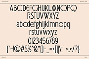 Logo Serif Branding Font - Veloster, a Serif Font by Say Studio (Thumbnail 8 of 8)