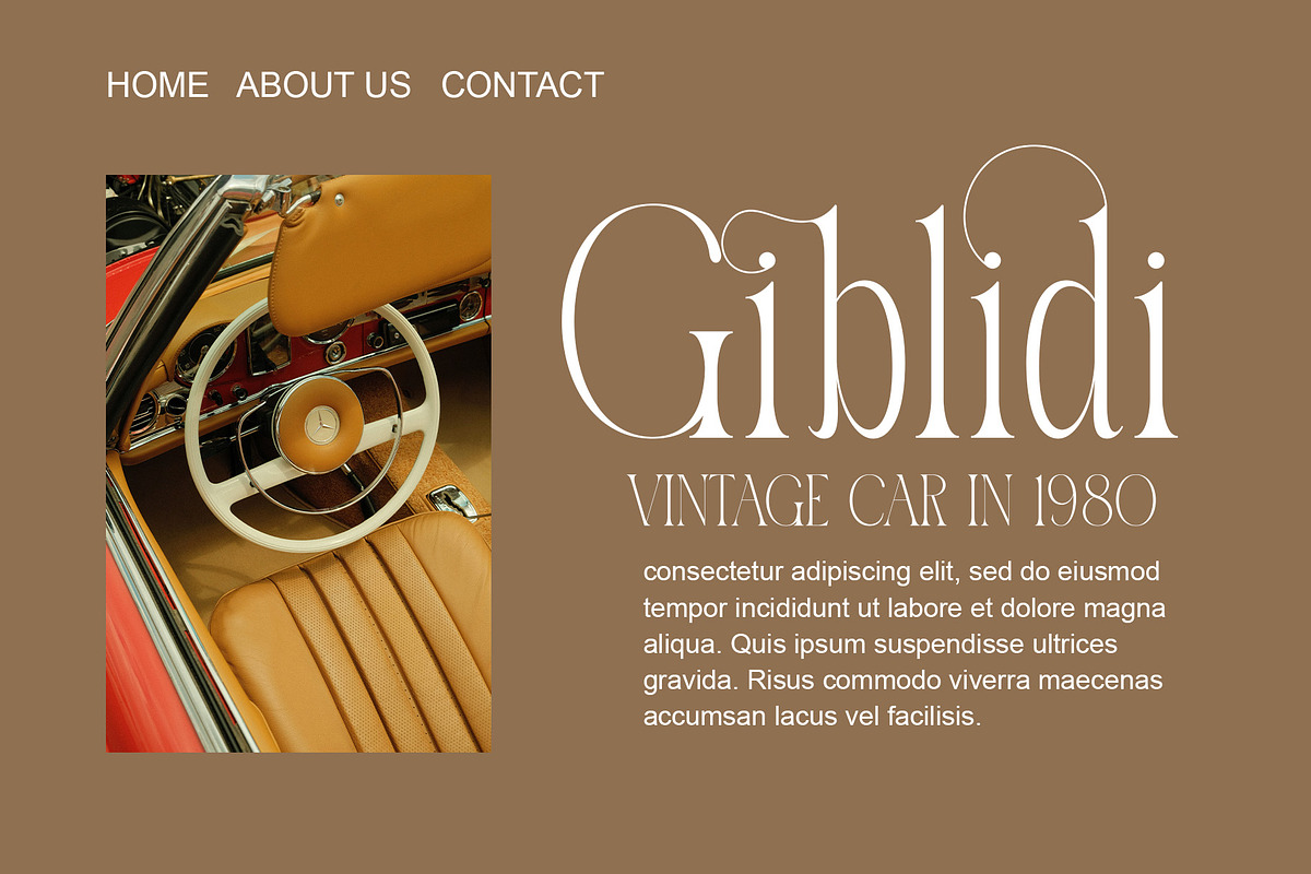 Nabira Modern Elegant Serif, a Serif Font by Alfinart (Photo 10 of 10)