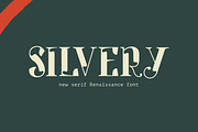 Silvery renaissance serif font, a Serif Font by kaer_shop (Thumbnail 6 of 6)