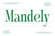 Questing Silver Modern Serif, a Serif Font by timelesstype.co (Thumbnail 4 of 20)