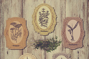 Herbs and spices. Vintage labels set, a Food Illustration by kateja (Thumbnail 2 of 8)